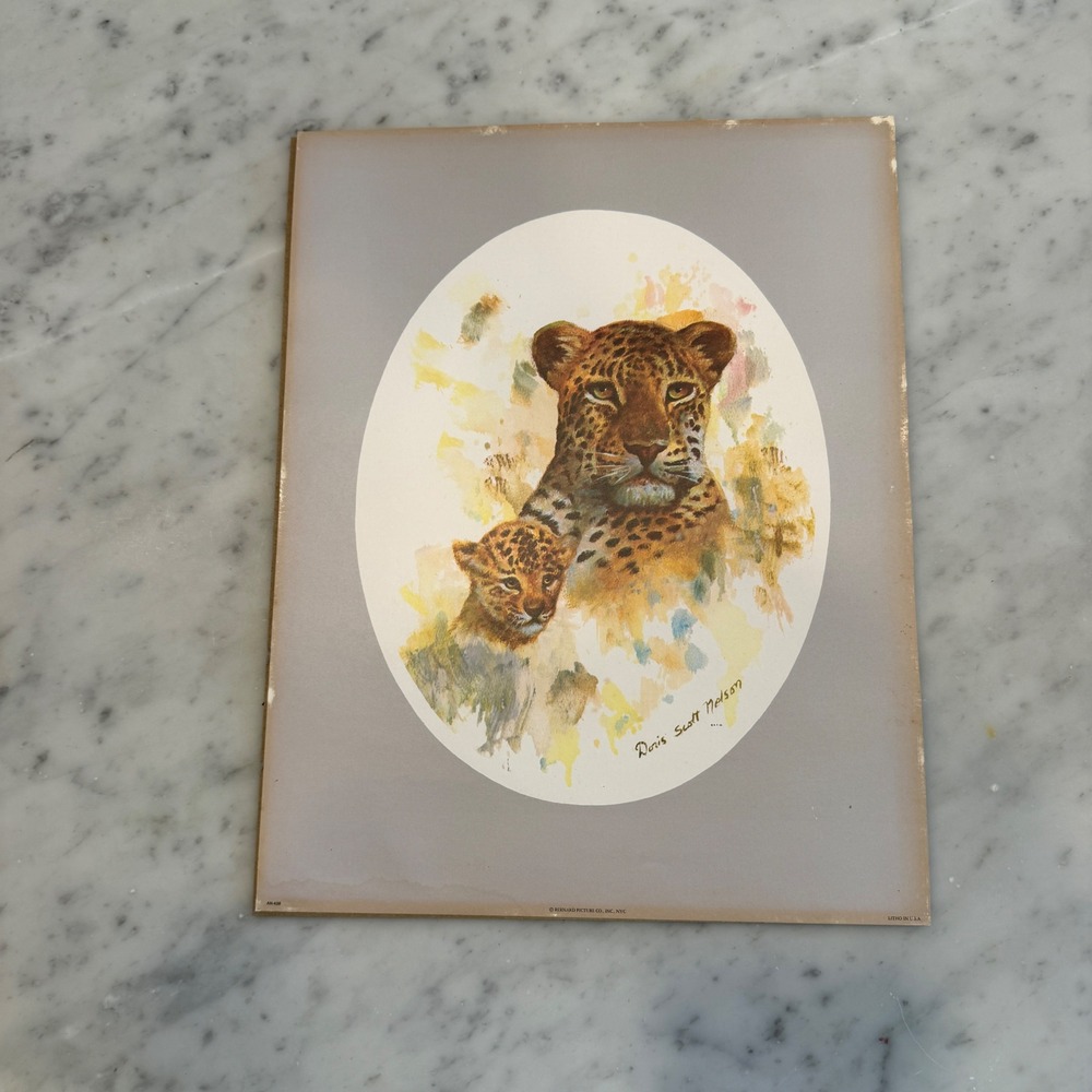 Vintage Doris Scott Nelson Leopard Cub‎ Lithograph Bernard Picture Co 11x14